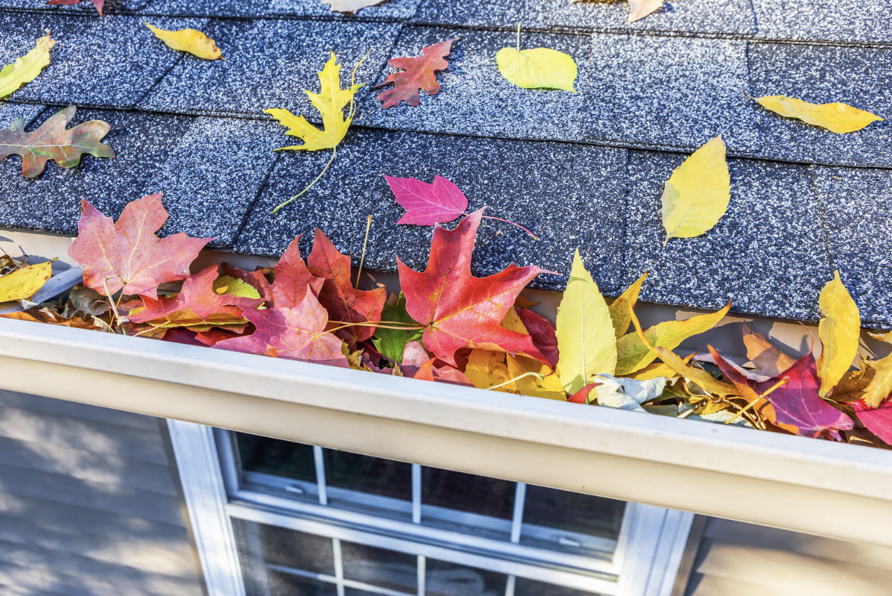 How to Prepare Your Home for Fall in Albuquerque Gutters with Leaves